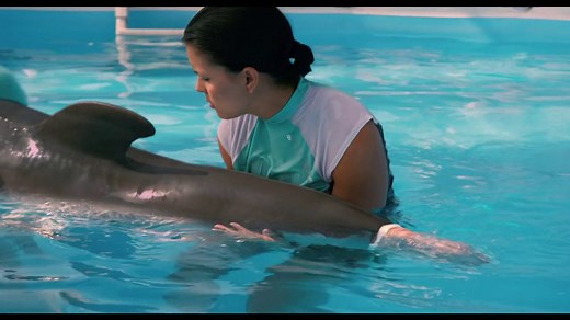Dolphin Tale Trailer- Extraordinary