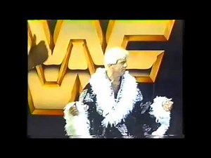 Ric Flair vs Jobber Jim Powers WWF Superstars 1991