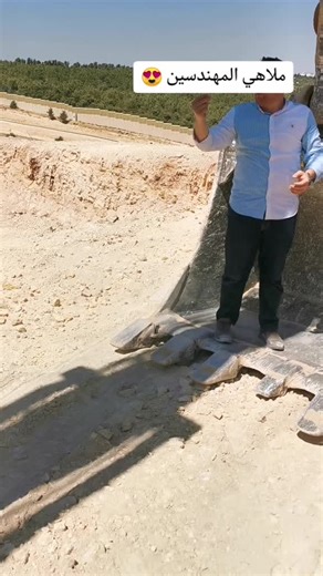 Excavator Operation Demonstration at Construction Site