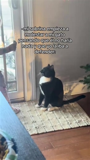 Video de Mimo (@alan_hlv) relacionado con “cat”