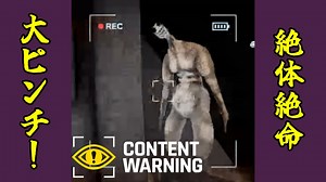 【Content Warning】尺余り過ぎ問題【実況】Film14