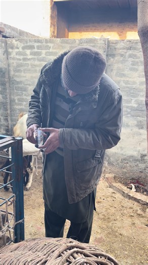 Effective Goat Treatment in Farm Management