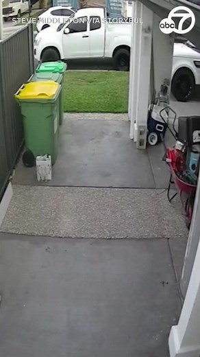 4M views · 20K reactions | An Australian man who said he thwarted would-be thieves at his home has been dubbed “Captain Undies” by friends, thanks to the attire he was sporting while chasing masked people away from his property. | ABC7 | Facebook