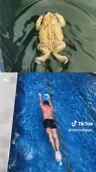 Master Frog Swim Techniques for Better Swimming