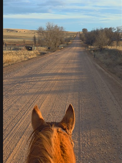Tonight, while Josh ducked around the side of the barn for a quick bathroom break, I was in the round pen loose rein, one handed, loping Scooby in my new saddle. 🥹 I’ve never done that before. 😭 All the hours. All the rebuilding. All the small choices to keep showing up even when progress felt slow. It’s paying off in a big way. We had the loveliest ride this evening and I felt calm, capable, and completely in sync with him. I don’t know that I could hope for anything better than this moment. 