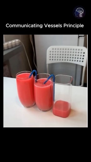 Norman Hayman | Engineered Growth | This is a demonstration of the communicating vessels principle, also known as the principle of connected containers. When multiple... | Instagram