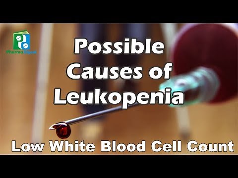 Possible Causes of Leukopenia