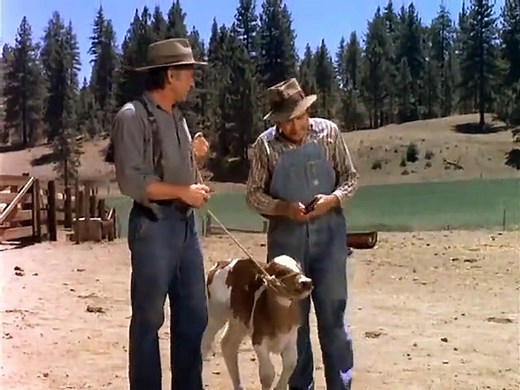 The Waltons - Se1 - Ep03 HD Watch