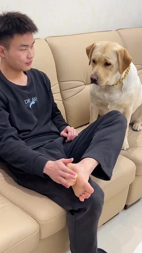 617K views · 10K reactions | #funny #funnyvideos #funnymemes #funnycats #funnygirl #funnyanimals #dog #cute | Lucille S. Tucker | Facebook