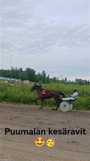 Puumalan kesäravit 🤩