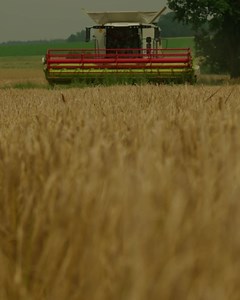 154 reactions · 13 shares | Bereit für Ihre Ernte? Auf unseren neuen TRION Mähdrescher können Sie sich in jeder Einsatzminute verlassen. Jetzt entdecken. | CLAAS | Facebook