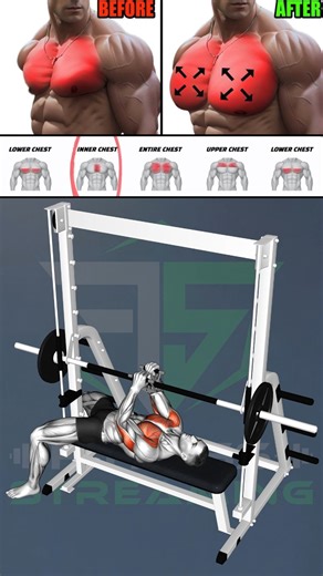 Train Your Chest With Purpose Using a Workout Designed for Real Strength and Muscle Growth #chestworkout #chesttraining #buildyourchest #upperchest #lowerchest #chestdevelopment | Fitness Streaming