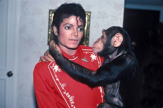 ¿Qué pasó con Bubbles? El destino del chimpancé que rescató Michael Jackson en los 80 y aparece en la película
