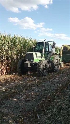 Chopping silage with the Deutz-Allis!