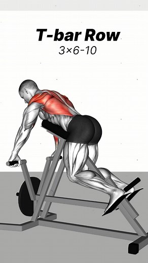 294K views · 2.5K reactions | Pull Day 1️⃣ T-Bar Row: 3x6-10 2️⃣ Lat Pulldown: 3x6-10 3️⃣ Cable Row: 3x6-10 4️⃣ Cable Pulldown: 4x8-12 5️⃣ Reverse Fly: 4x8-12 6️⃣ Hammer Curl: 3x10-15 7️⃣ Preacher Curl: 3x8-12 | Workout Inspiration | Facebook