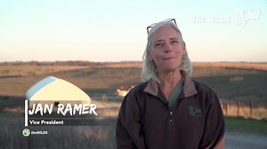 🦏🦏BIG news x2! The Wilds’ southern white rhinoceros herd grew this month with the births of two male calves! The first one was born on Nov. 16 to mother Zenzele and father Roscoe and is the first to be born in The Wilds’ new rhino barn. This little guy has been named “Gilman” after the founder of The Howard Gilman Foundation, honoring the late Mr. Gilman’s generosity to The Wilds, his unrelenting passion for conservation, and the Foundation’s shared commitment to protecting wildlife. The secon