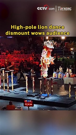 A high-pole lion dance performance stunned the audience as the performers executed a flawless dismount before landing a perfectly timed backflip. Balancing atop towering poles, the lion leapt down with precision, slid smoothly off the platform, and seamlessly transitioned into a backward somersault -- all in one fluid motion. #ChinaFace | CCTV