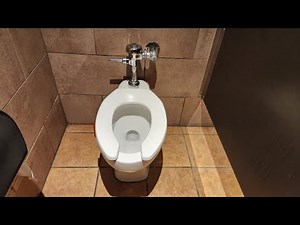 1990s Briggs Viscount toilet