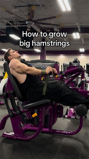 Joel Twinem TNF on Instagram: "Throw in a hinge for good measure and you’ll be a ok Muscle Building and Fat Loss Manuals in linktree in bio @ekkovision (gym stuff) Code TNF @ekkovisionclothing Code TNF @macrofactorapp (tracking app) Code TNF @marekhealth (telehealth) Code TNF @gym_pin (gym equipment) Code TNF @hummusfit (buff muffin/meal prep) TNF All of these can be found at my linktree in bio 🤝"