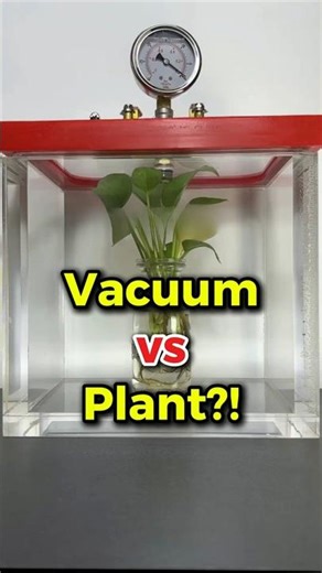 🔥 Vacuum vs Plant?! 🌿😳