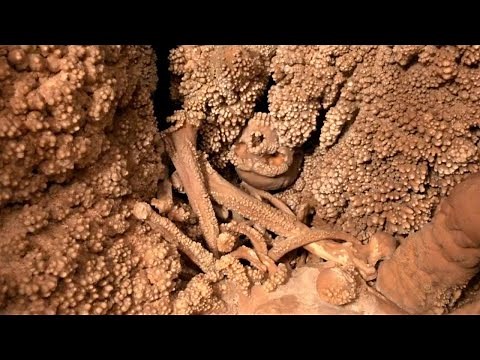 The Most Complete Neanderthal Skeleton Ever Found Still Can't Be Excavated