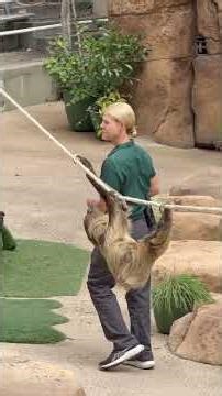 San Diego Zoo: Wildlife Wonders