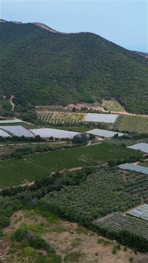 Discover the hidden beauty of Folia, Kavala! 🍇⛰️ Mountains, vineyards & secret beaches await! ✨