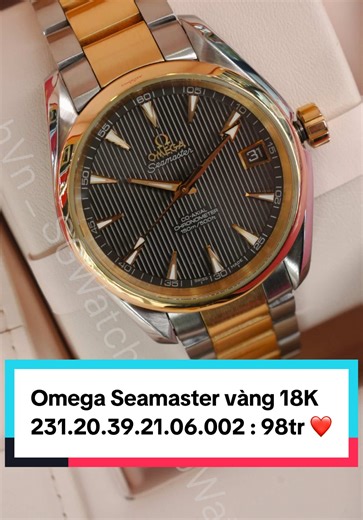 Omega Seamaster Aqua Terra 231.20.39.21.06.002 Chính Hãng