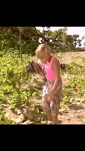 4.2K views · 144 reactions | Funny moments in full house 22 | Full House All Season 6 | Facebook