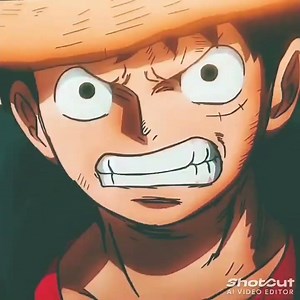 luffy/king of pirets/