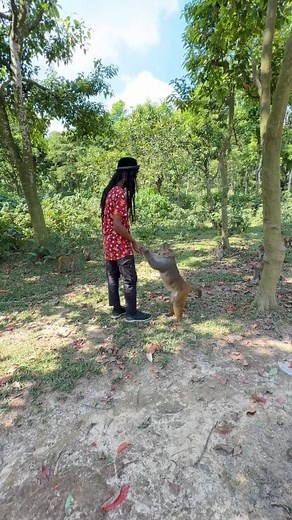 1M views · 7.7K reactions | Best Reaction Animals Monkey Comedy United funny 藍 . . . . . . . . . . #united #reaction #monkey #funny #UnitedStates #reels | Samim funny1M | Facebook