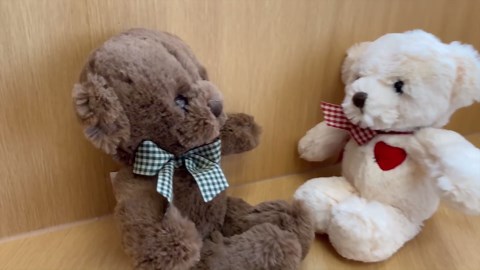 11.4” Small Teddy Bear with Heart Cute White Teddy Bear Stuffed Animals Soft Stuffed Bear Plush Bear Plushie Toys Gifts for Girlfriend Boyfriend Kid