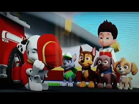 Paw patrol [AMV] Marshall sad -REY60-