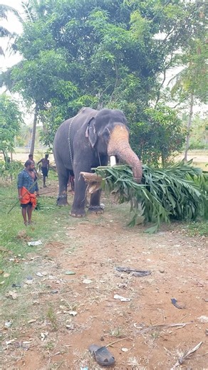 ആളെ മനസ്സിലായോ 🔥#shorts