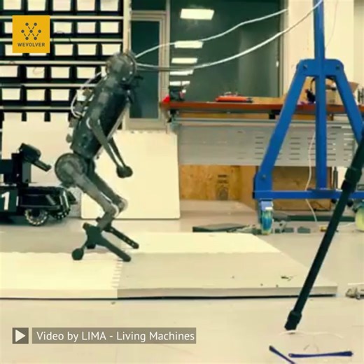 6.8K views · 154 reactions | This off-the-shelf quadruped robot can...