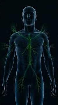 What Ketones Actually Do To Your Brain