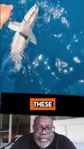 Watch The Waters Everyday