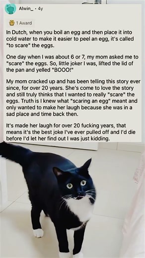 ...And that's how I saved my mom with a scared Egg