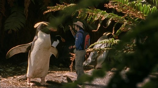 Andy's Wild Adventures S01E20 - New Zealand Penguins