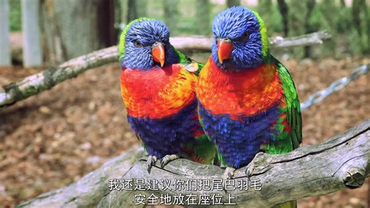 [第 1 季] 怪诞星球 absurd planet 中文字幕【远鉴字幕组压制分享】