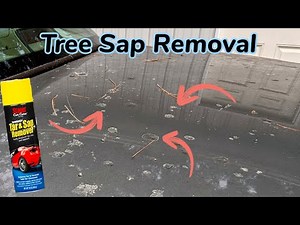 Detailing a Car with Tree Sap Troubles