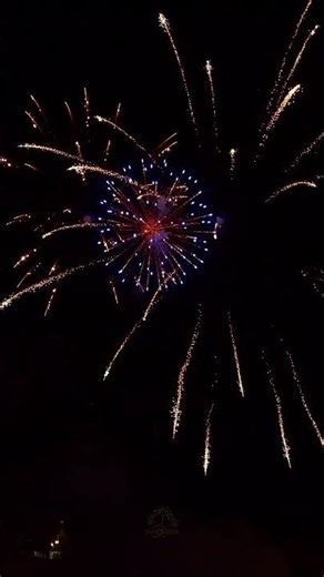 Crackling palms and popping flowers lighting up the sky