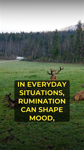 The psychology behind Rumination