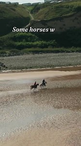 Some horses will test you Some horses will teach you and some... will bring out the best in you | Townfields