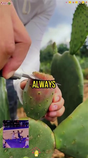 Discover the New Frozen Experience at Disneyland Paris