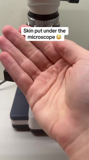 Exploring Human Skin Under the Microscope