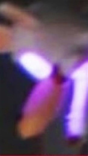 LOBIT IS IN THE FNAF 2 MOVIE