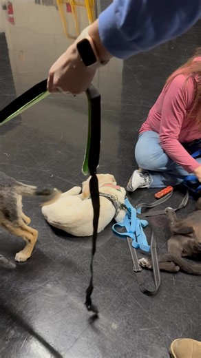 Azure Davis on Reels