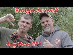 Are Budget Arrows Worth it? The Good and the Bad.