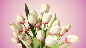 clip-27435061-animation-rotation-realistic-bouquet-flowers-on-clear